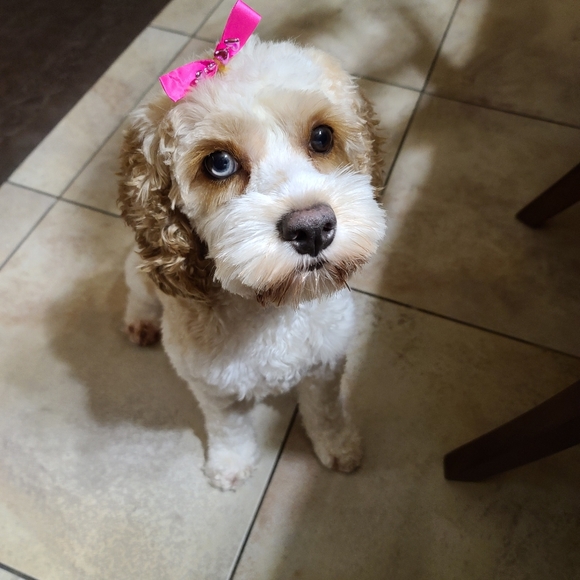 Hello :) - Picture 3 of 3